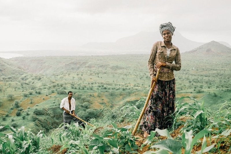 Подборка лучших фотографий, опубликованных журналом National Geographic в ноябре 2017 года national geographic, конкурс фотографии, фото