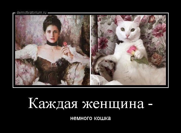 Веселые вечерние демотиваторы для хорошего настроения Веселые вечерние демотиваторы для хорошего настроения