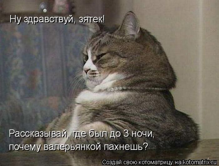 Мысли вслух :)