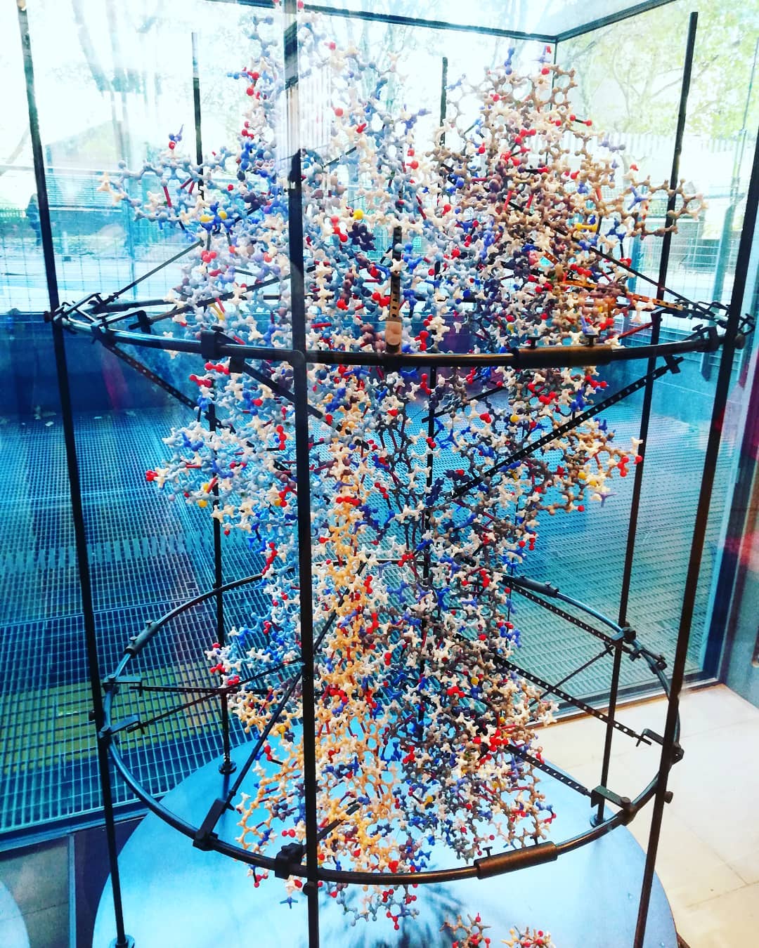 Лучше любого учебника: 20+ изображений об анатомии человека, которые вас удивят Лучше любого учебника: 20+ изображений об анатомии человека, которые вас удивят анатомия,медицина,наука,организм