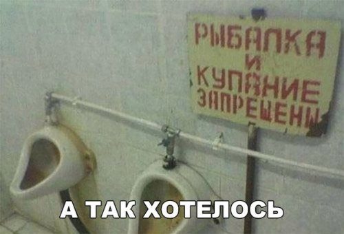 Приколы в фотомемах