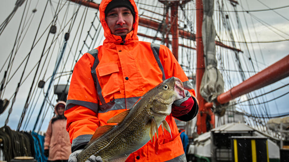 Британцы ловят рыбу в баренцевом море