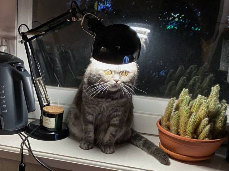 Подборка смешных картинок. Вечерний выпуск Подборка смешных картинок. Вечерний выпуск приколы,смешные картинки,юмор