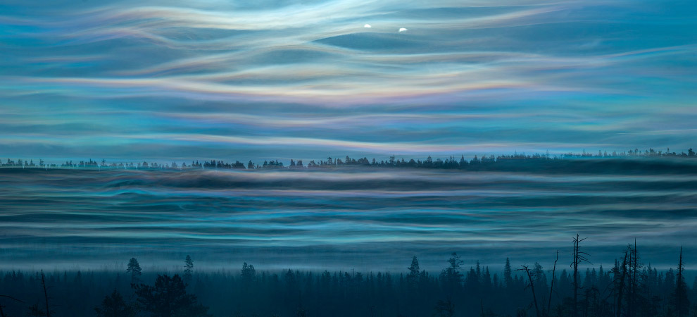 Победители европейского конкурса фотографий дикой природы 2019 Победители европейского конкурса фотографий дикой природы 2019 Путешествия,фото