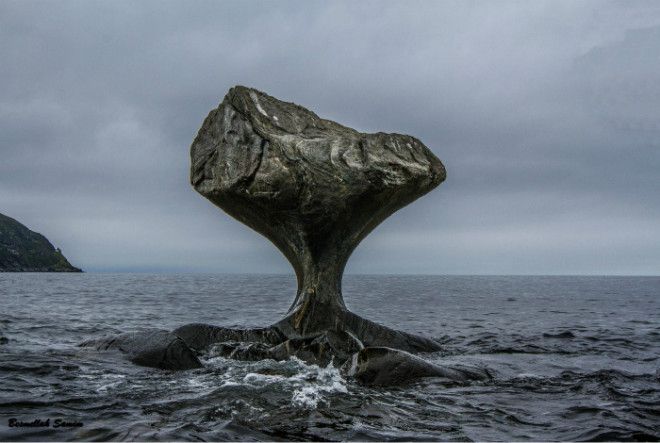 Вода камень точит