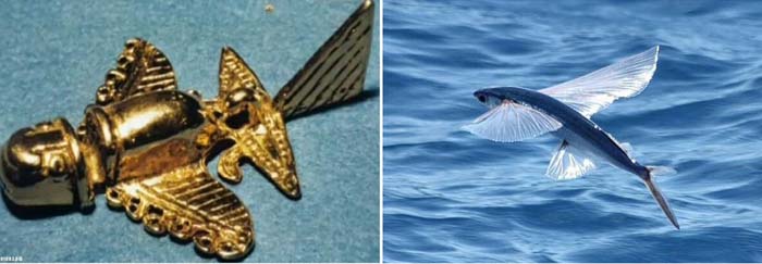 Историки уверены, что «золотые самолетики» - изображения только животных. Возможно, летучих рыб