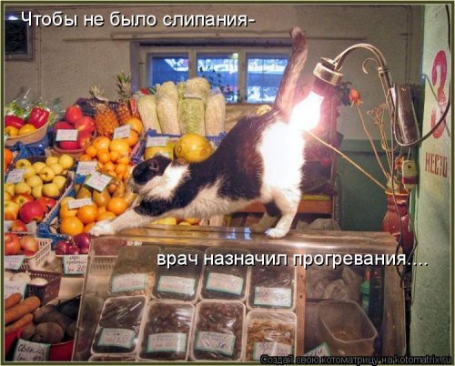 Ночная котоматрица (12 шт)