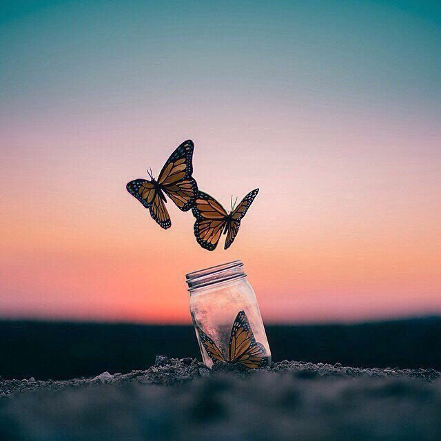 Прикольные фотографии и смешные картинки для веселья красивые девушки,красивые фотографии,прикольные картинки,угарные фотки,фото приколы