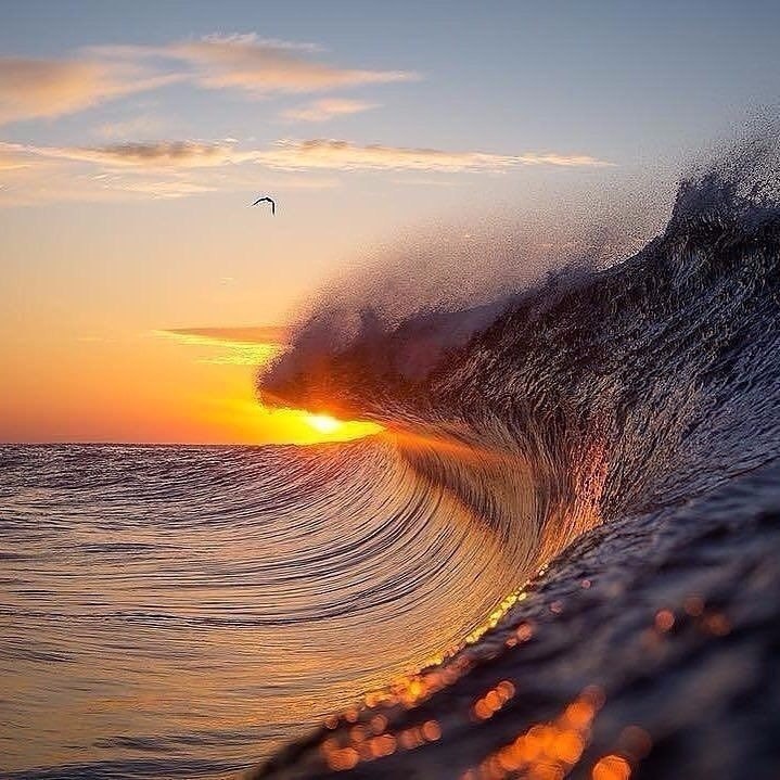 Подборка смешных картинок и красочных фото приколов из нашей жизни Подборка смешных картинок и красочных фото приколов из нашей жизни красивые фотографии,приколы,угарные фотки,шикарные фотографии