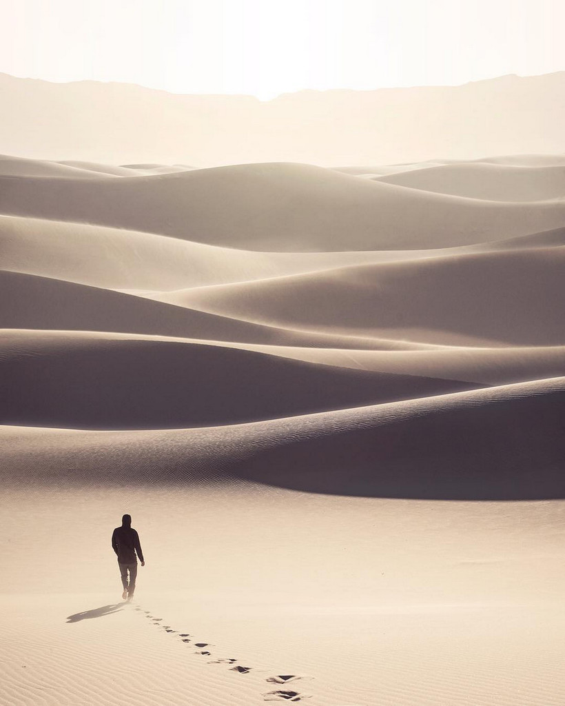   Hasselblad Masters Award    