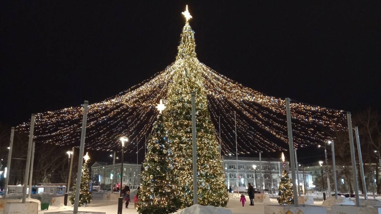Мэр Вологды сообщил о краже светящейся новогодней елки в центре города