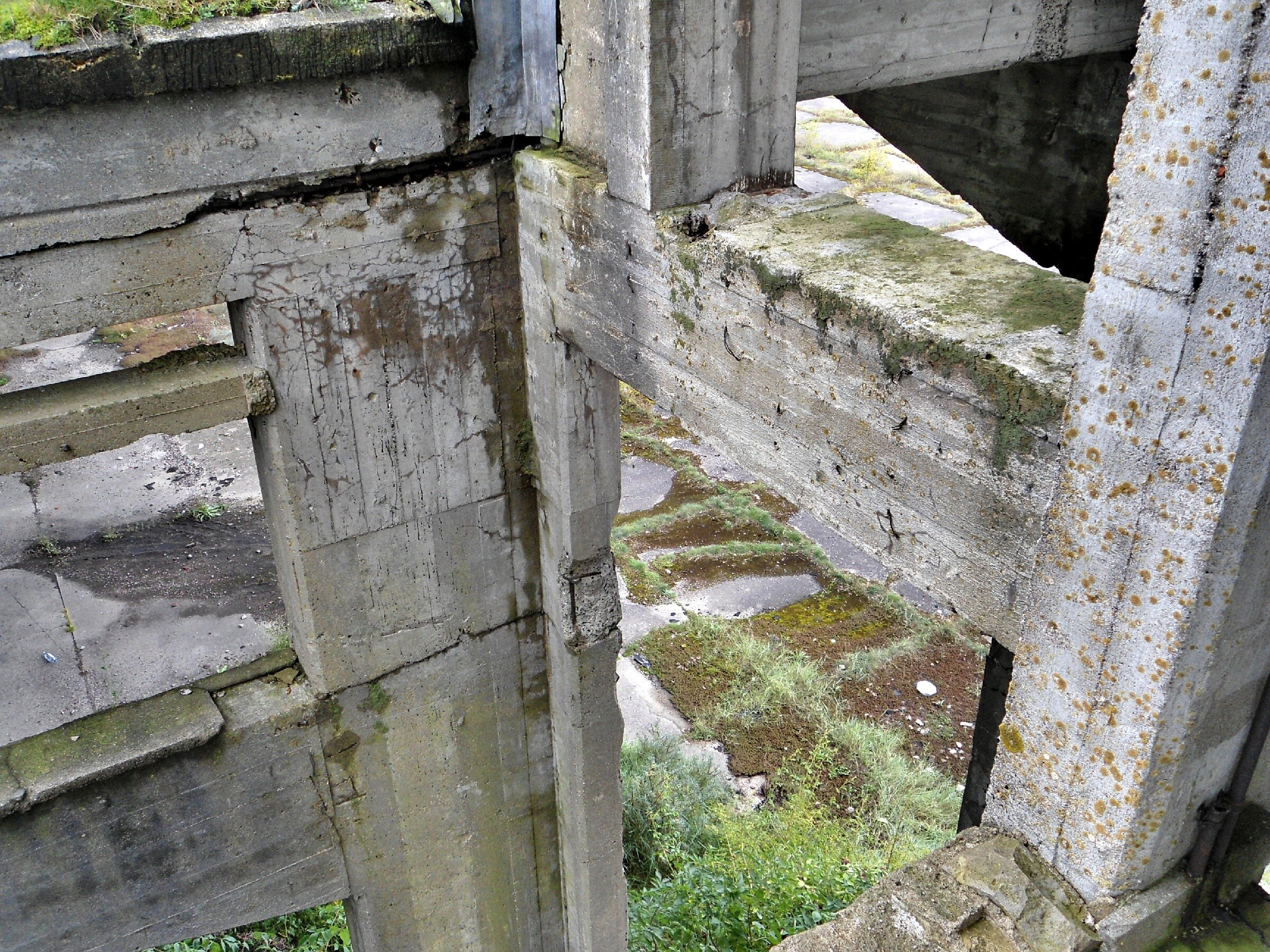 Заброшенный немецкий аэродром Люфтваффе "Нойтиф". Ангар 3 Заброшенный немецкий аэродром Люфтваффе "Нойтиф". Ангар 3