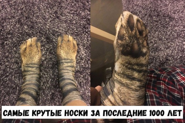 Фотоподборка среды 