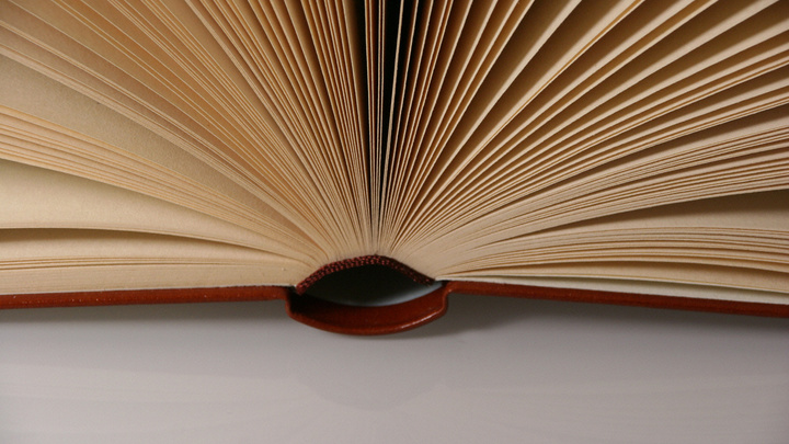 Двух министров и генпрокурора призвали проверить пост о "клоачном" языке и его автора