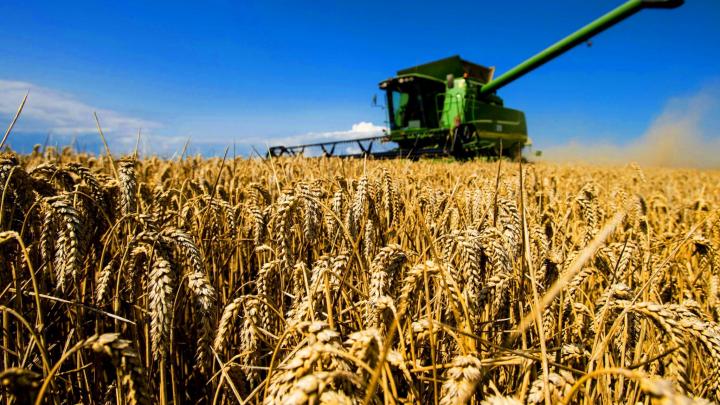 Турция ведет переговоры с Россией о возобновлении зерновой сделки – источник 