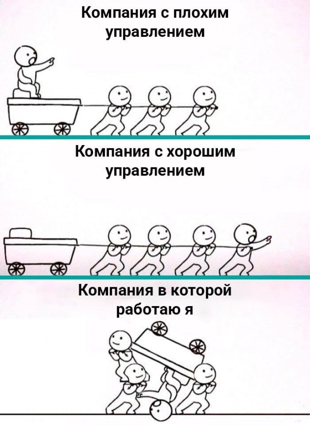 Интернет мемы и кот который не боится пылесоса 