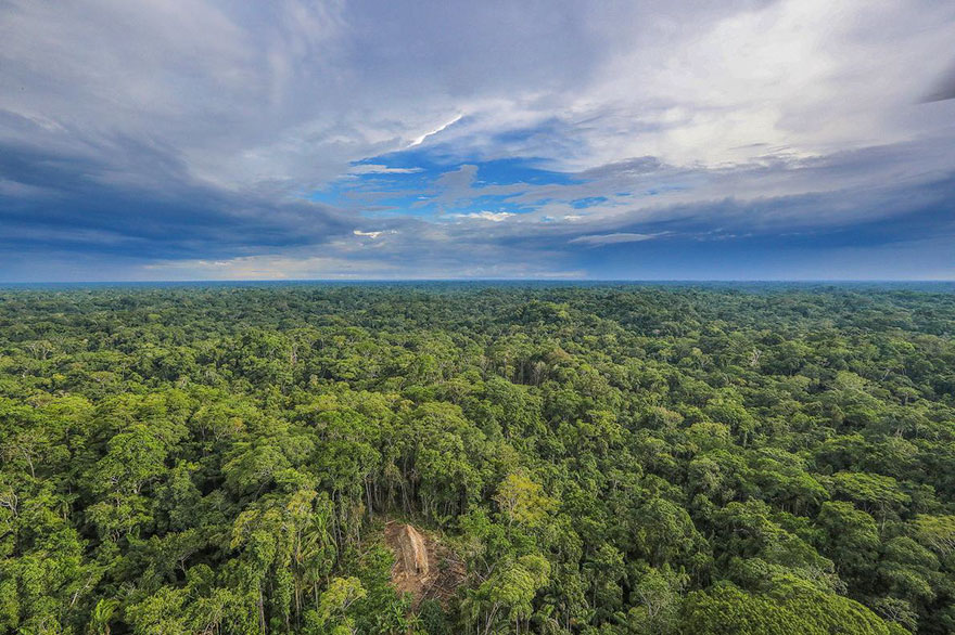 Дикое племя в лесах Амазонии в объективе бразильца