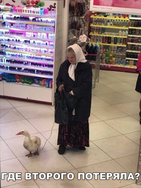 Приколы в фотомемах