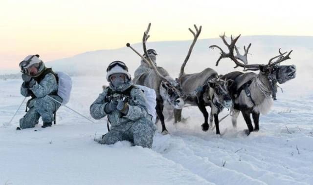 Лучшие фотоприколы