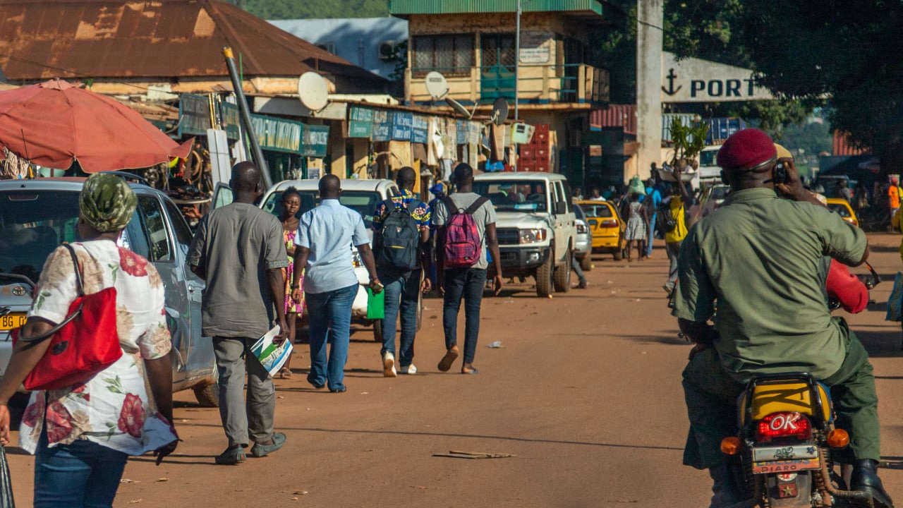 Россия и ЦАР продолжают развивать многопрофильное сотрудничество