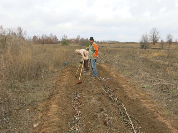 грядка Розума: Органическое земледелие, пермакультура