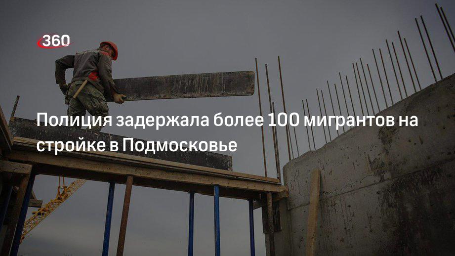 МВД сообщило о задержании более 100 мигрантов на стройке в Подмосковье