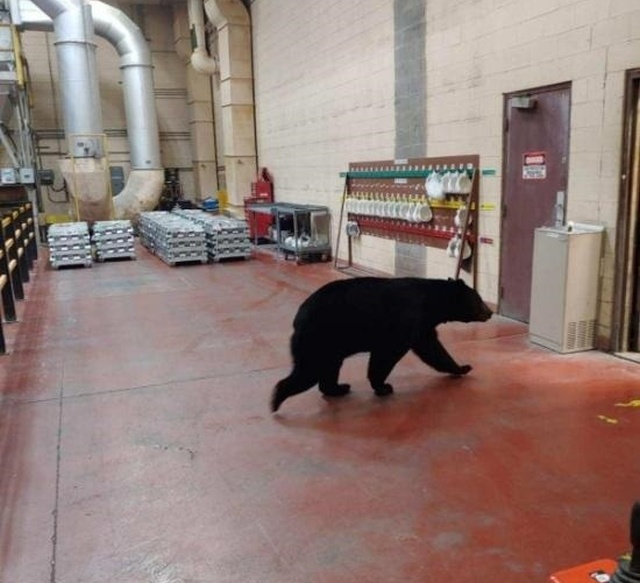 Подборка прикольных картинок Подборка прикольных картинок смешные картинки