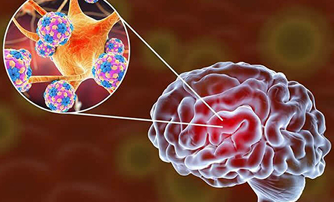 Ученые работали над созданием искусственного мозга и заметили, что он вырастил глаза и различает свет Культура