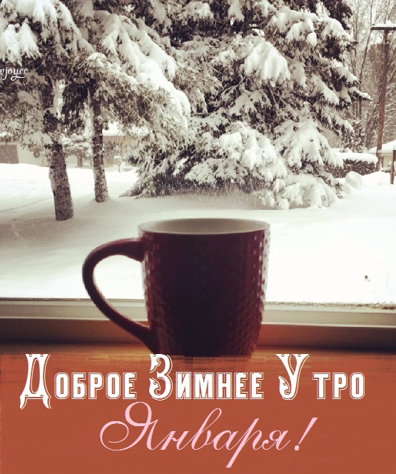 Самые прикольные анекдоты и истории с просторов Сети Самые прикольные анекдоты и истории с просторов Сети