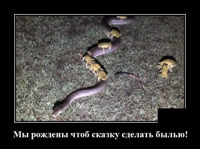 Утренняя подборка прикольных картинок №11 Утренняя подборка прикольных картинок №11 отдых