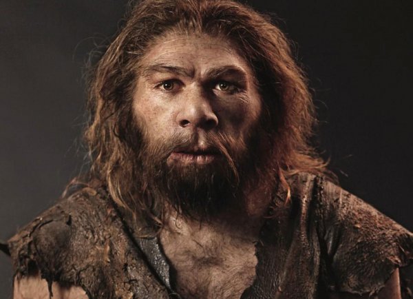 Неожиданная новая гипотеза о причинах вымирания неандертальцев интересное,наука