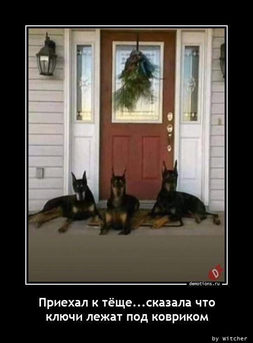 Очередная порция юмора и приколов для любителей демотиваторов! 