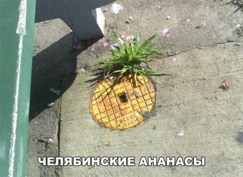 Приколы в фотомемах