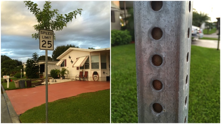 20 фото, которые подтверждают, что на нашей планете нет ничего могущественнее силы природы интересное,природа,фотография