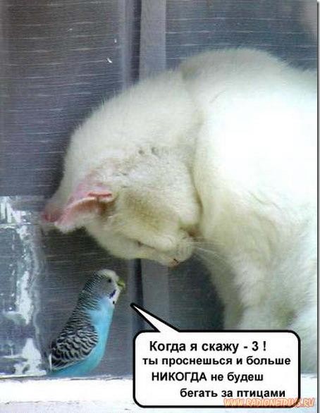 Немного улыбки... Немного улыбки...