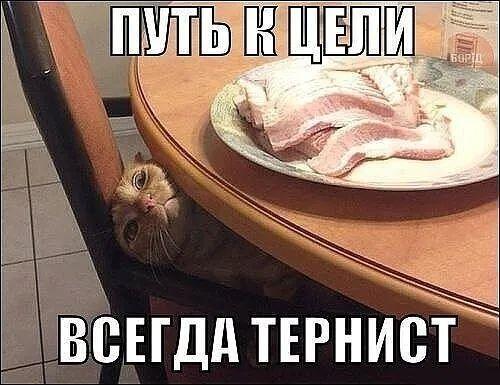 Немного улыбки... Немного улыбки...