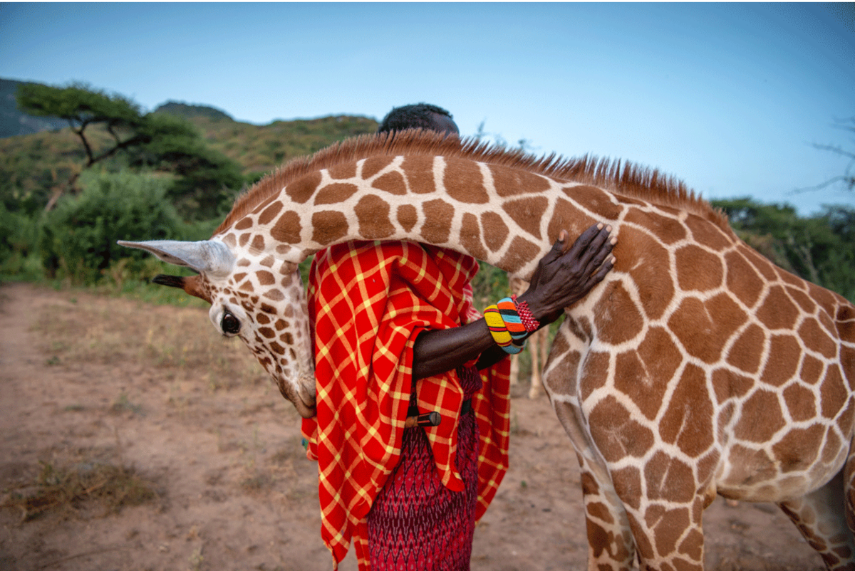 Reteti Elephant Sanctuary, Kenya  
Ami Vitale | Missoula, United States