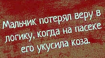 Отличная подборка юмора в картинках для поднятия настроения 