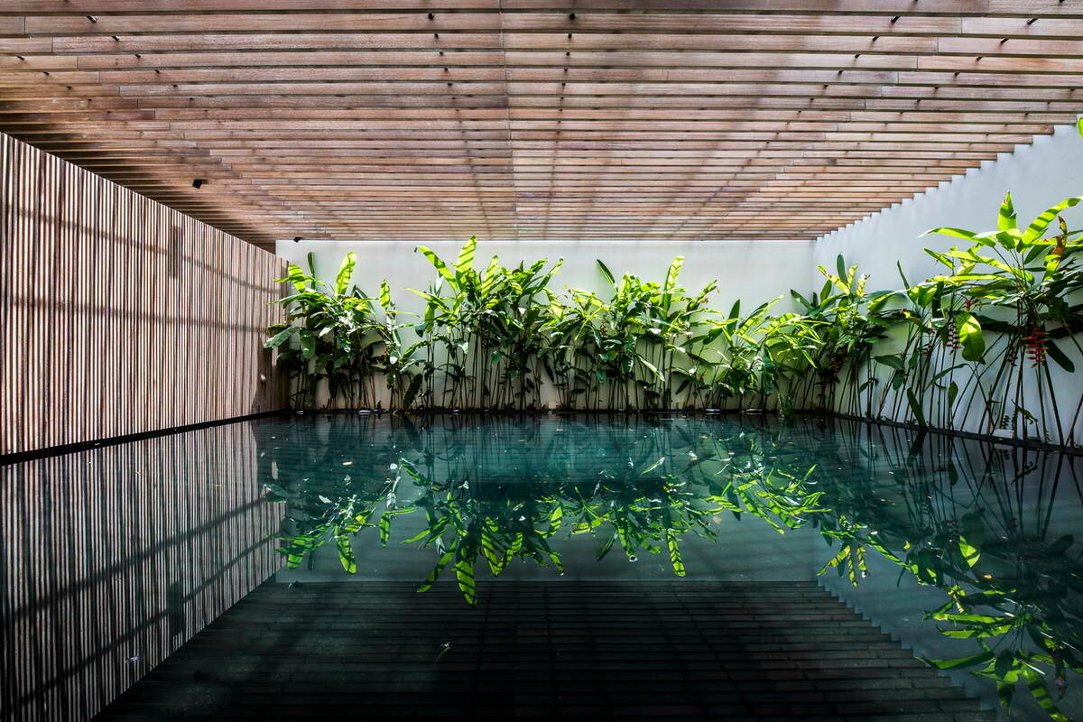 Вьетнамские архитекторы тоже умеют: Дом в плотной застройке с внутренними садами и бассейном архитектура,идеи для дома,интерьер и дизайн