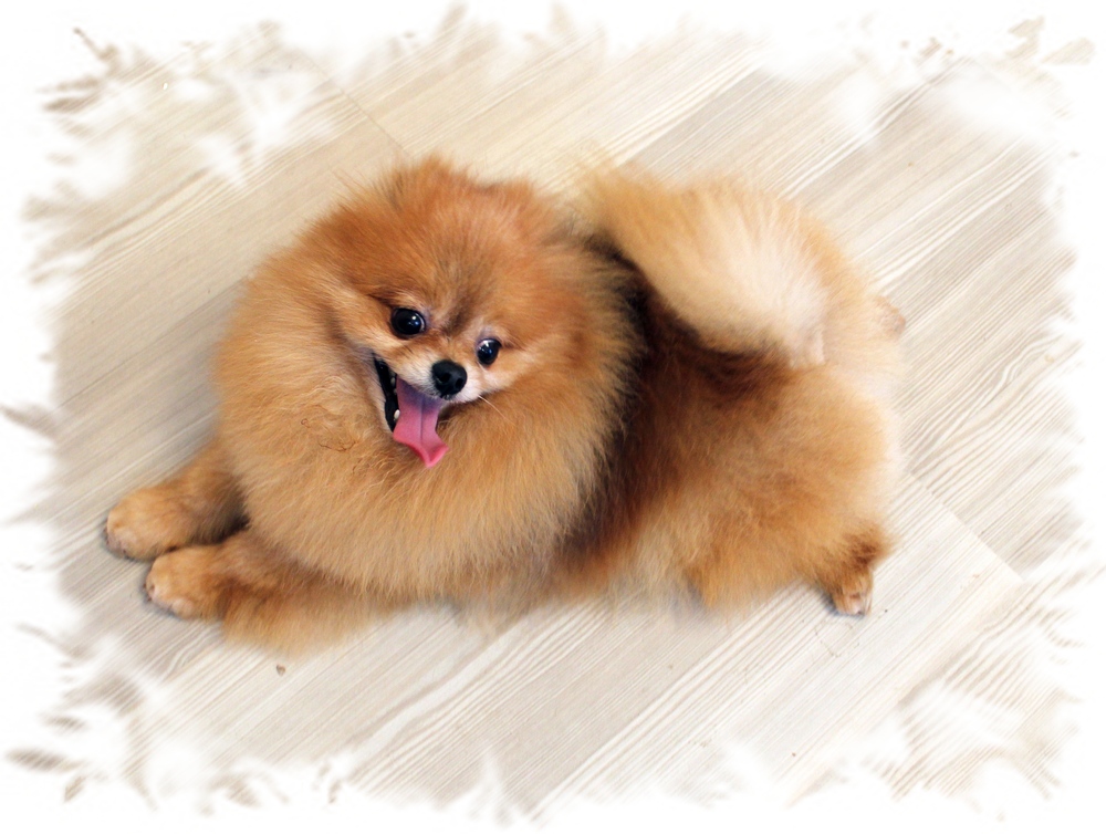 �������� ����������� ����, ���� ������