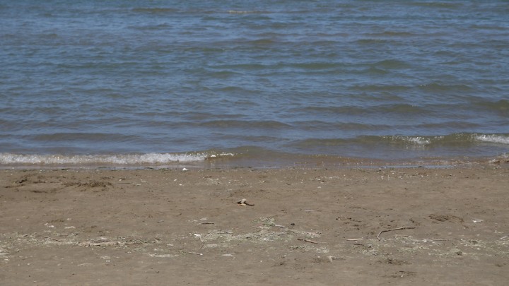 Женщина запуталась в водорослях и утонула в Кузбассе