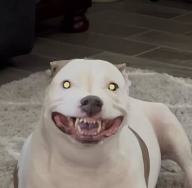 Подборка прикольных картинок  приколы,смешные картинки,юмор