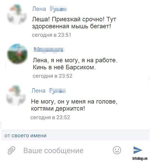 Смешное из соцсетей Смешное из соцсетей