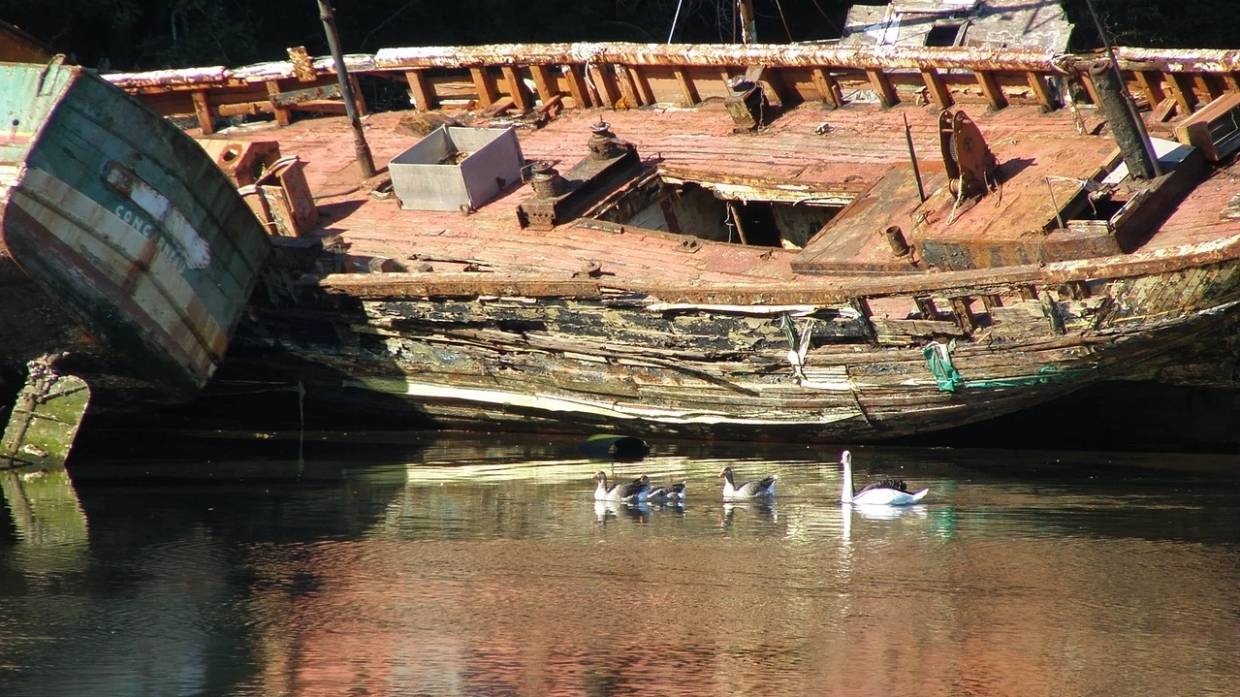Прокуратура потребовала очистить реки Пермского края от затонувших кораблей