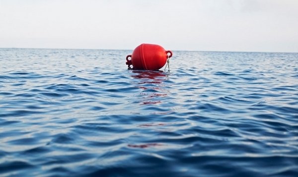 Вуй даль, слова, словарь