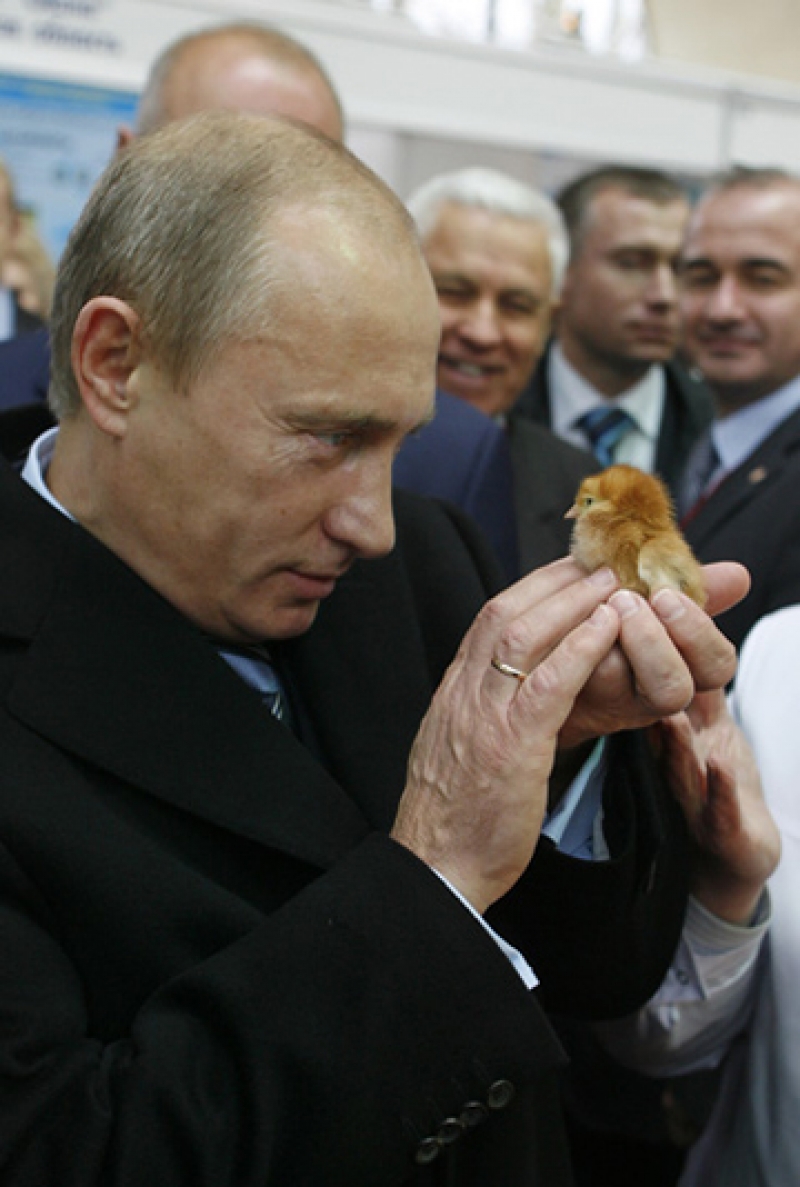 67 фото, доказывающих, что именинник Владимир Путин – самый крутой лидер в мире