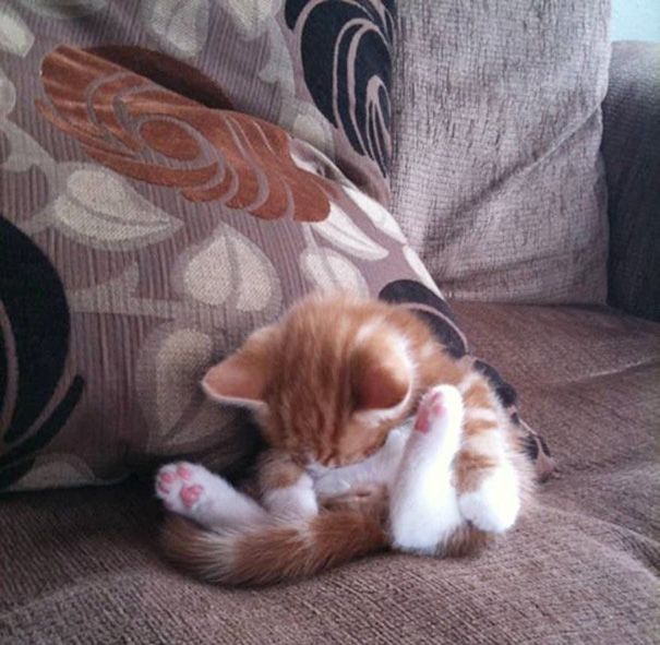 Спим в неожиданных местах и позах