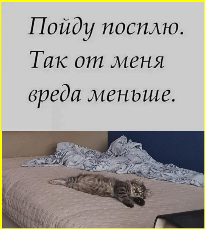 Веселые картинки с приколюшками Веселые картинки с приколюшками