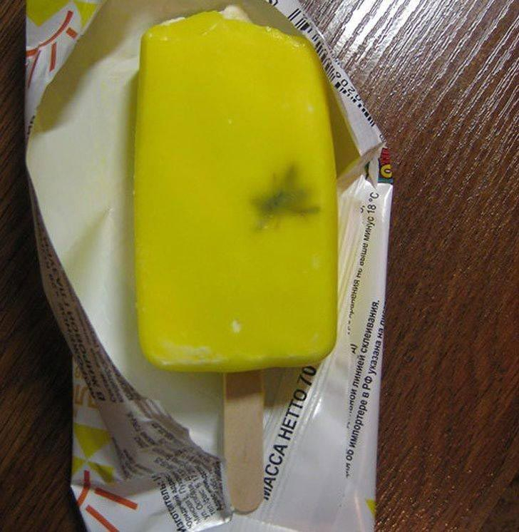 25 невезучих людей, которые страдали за то, чтобы вам было смешно 25 невезучих людей, которые страдали за то, чтобы вам было смешно картинки