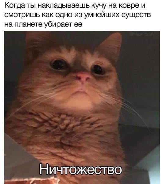- Папа, у меня проблемы с нашей новой учительницей.... - Папа, у меня проблемы с нашей новой учительницей.... весёлые